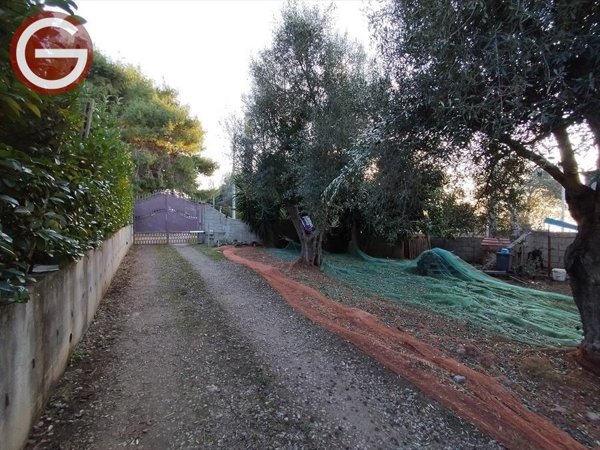 appartamento in vendita a Palmi