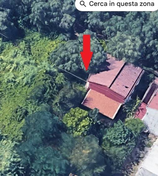 casa indipendente in vendita a Palmi in zona Scinà