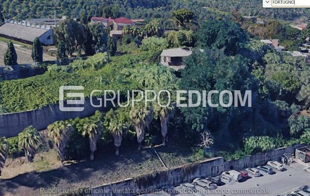 terreno agricolo in vendita a Palmi