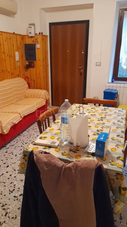 appartamento in vendita a Placanica