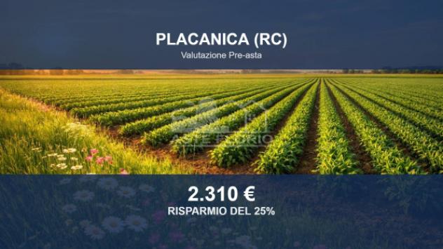 terreno agricolo in vendita a Placanica