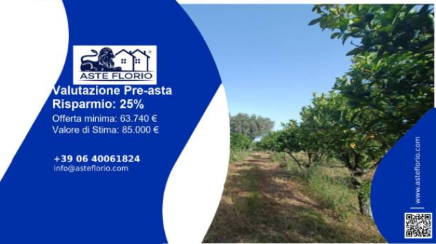 terreno agricolo in vendita a Polistena