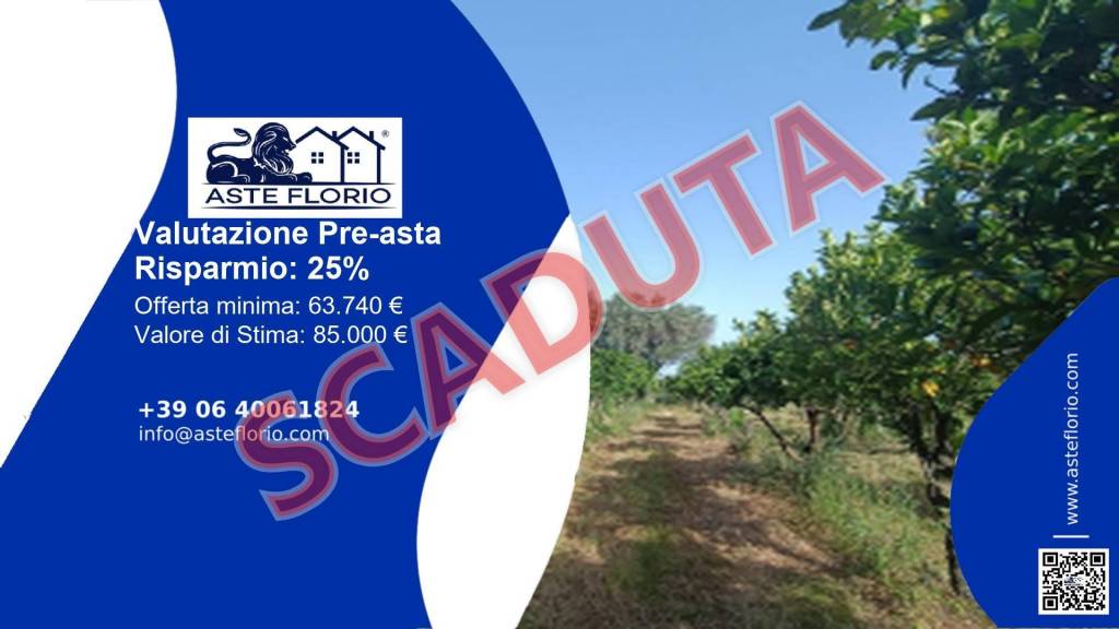 casale in vendita a Polistena