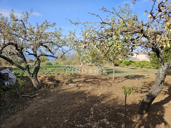 terreno agricolo in vendita a Reggio di Calabria in zona Croce Valanidi
