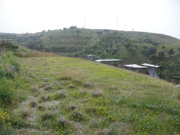 terreno agricolo in vendita a Reggio di Calabria in zona Pellaro