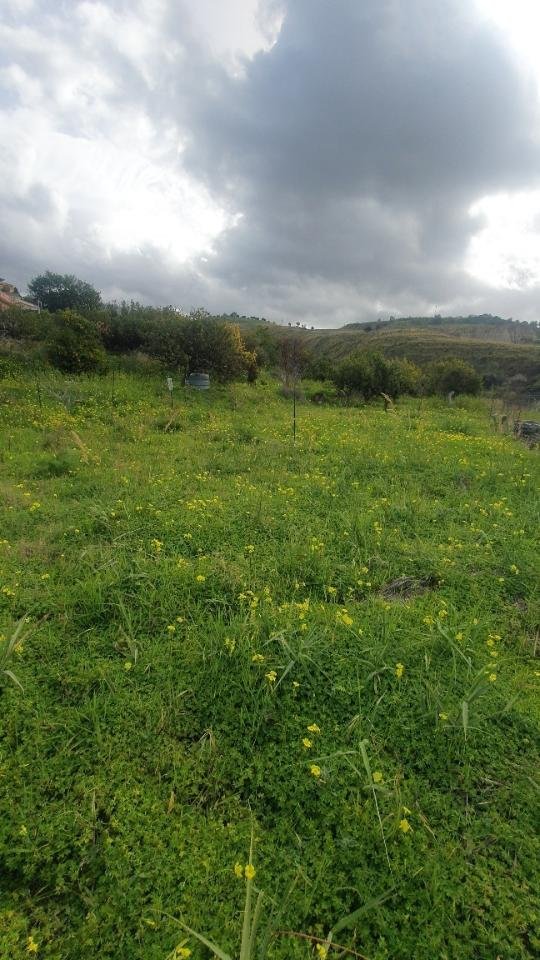 terreno edificabile in vendita a Reggio di Calabria in zona Ravagnese