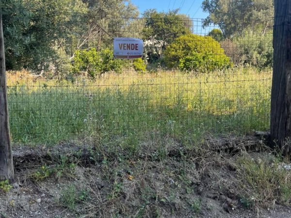 terreno agricolo in vendita a Reggio di Calabria in zona Vito