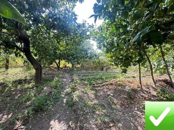 terreno agricolo in vendita a Reggio di Calabria in zona Terreti