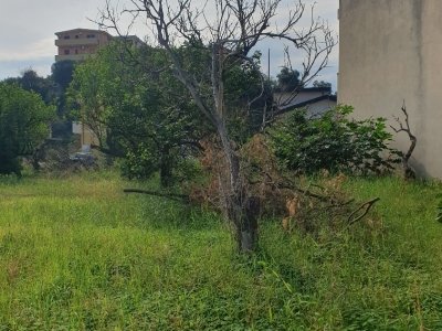 terreno agricolo in vendita a Reggio di Calabria in zona Saracinello