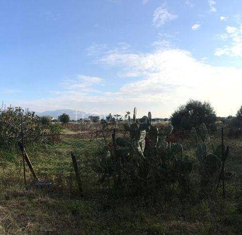 terreno agricolo in vendita a Reggio di Calabria in zona Arghillà