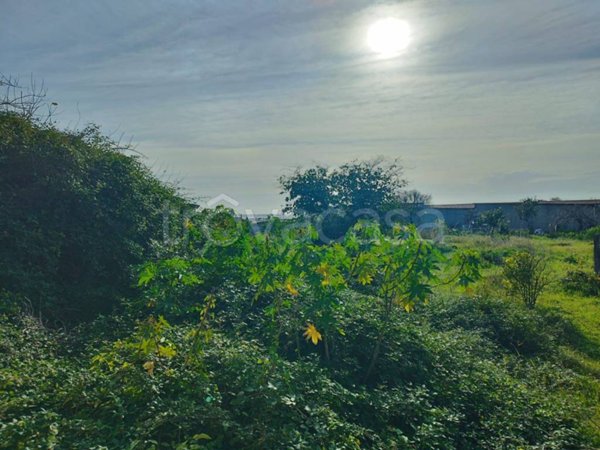 terreno agricolo in vendita a Reggio di Calabria in zona Pellaro
