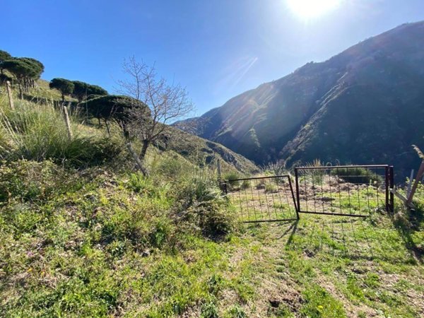 terreno agricolo in vendita a Reggio di Calabria in zona Ortì