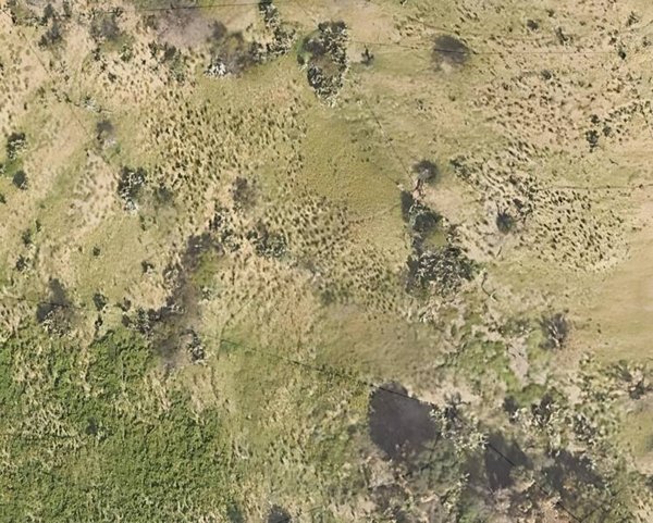terreno agricolo in vendita a Reggio di Calabria in zona Vito