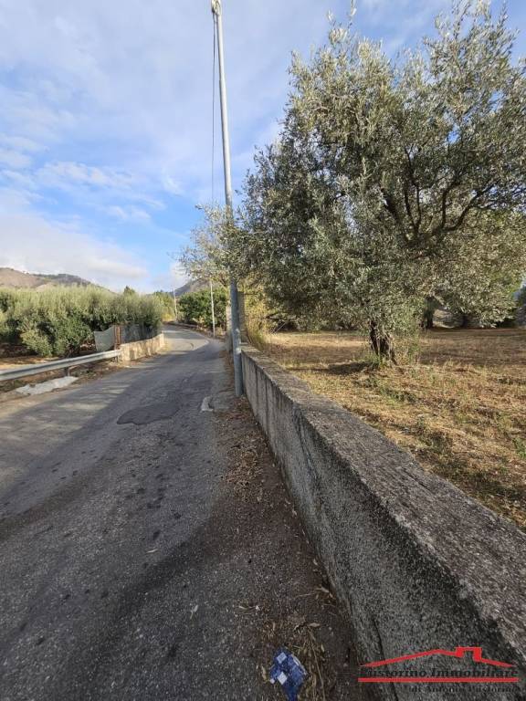 terreno agricolo in vendita a Reggio di Calabria in zona Rione Ferrovieri