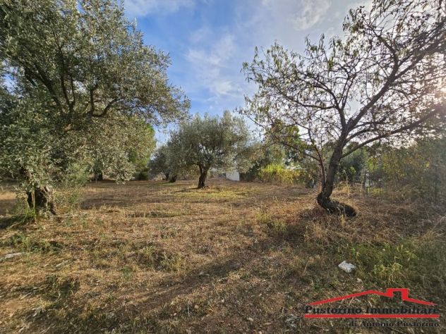 terreno agricolo in vendita a Reggio di Calabria in zona Rione Ferrovieri