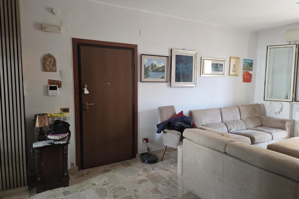 immagine annuncio 0 di 15