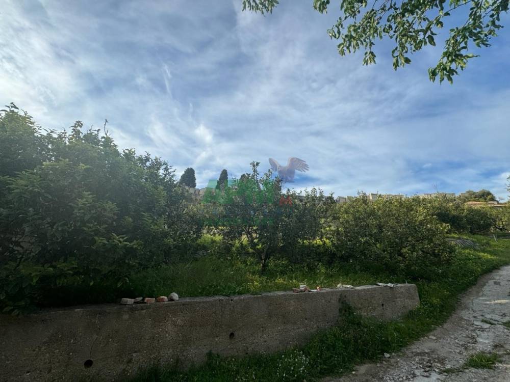 terreno agricolo in vendita a Reggio di Calabria