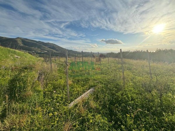 terreno agricolo in vendita a Reggio di Calabria in zona Pellaro