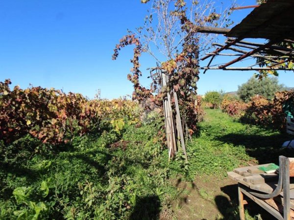 terreno agricolo in vendita a Reggio di Calabria in zona Catona