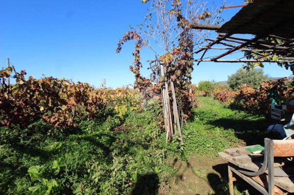 terreno agricolo in vendita a Reggio di Calabria in zona Catona