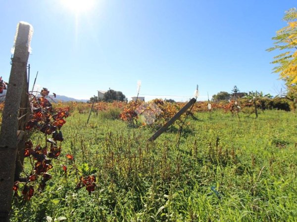 terreno agricolo in vendita a Reggio di Calabria in zona Catona