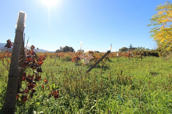 terreno agricolo in vendita a Reggio di Calabria in zona Catona