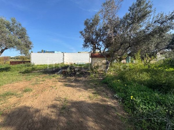 terreno agricolo in vendita a Reggio di Calabria in zona Catona