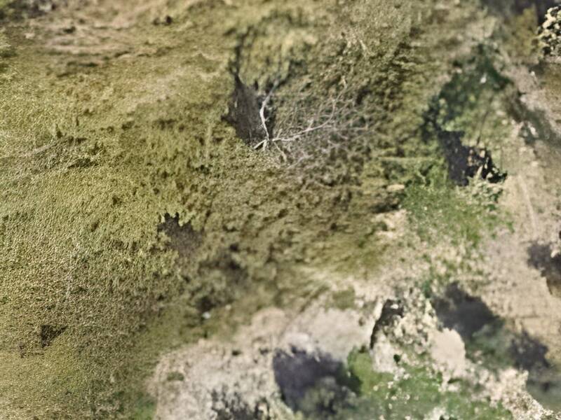 terreno agricolo in vendita a Reggio di Calabria in zona Vito