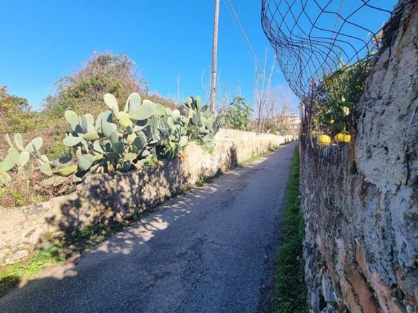 terreno agricolo in vendita a Reggio di Calabria in zona Catona