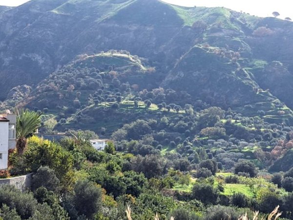 terreno agricolo in vendita a Reggio di Calabria in zona Pellaro