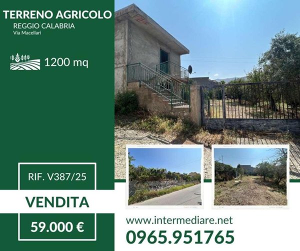terreno agricolo in vendita a Reggio di Calabria in zona Pellaro