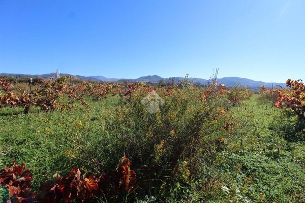 casa indipendente in vendita a Reggio di Calabria in zona Catona