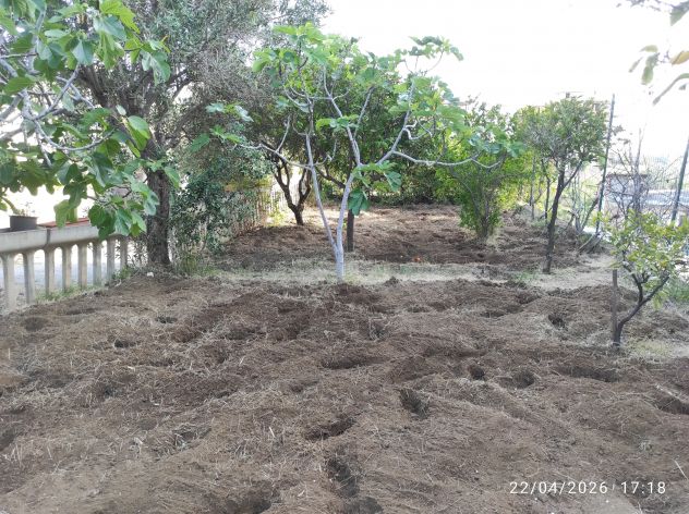 terreno agricolo in vendita a Reggio di Calabria in zona Centro Storico