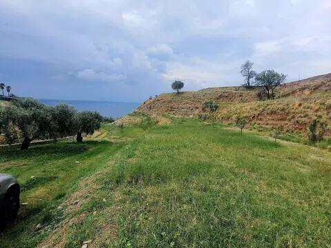 terreno agricolo in vendita a Reggio di Calabria in zona Pellaro