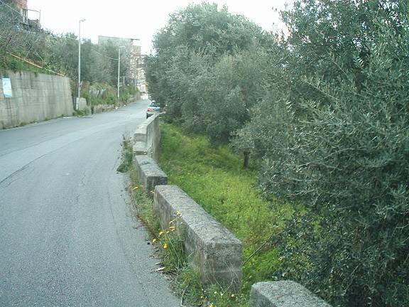 terreno agricolo in vendita a Reggio di Calabria in zona San Sperato