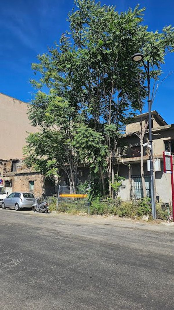 casa indipendente in vendita a Reggio di Calabria in zona Pentimele