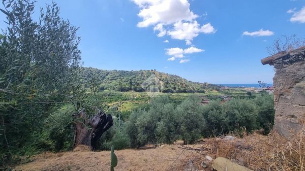 casa indipendente in vendita a Reggio di Calabria in zona Salìce Cálabro