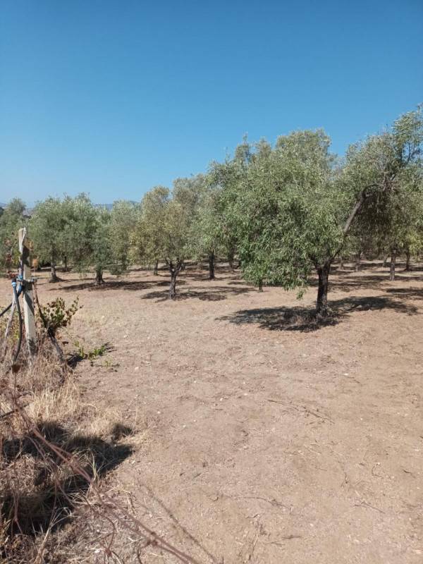 casa indipendente in vendita a Riace