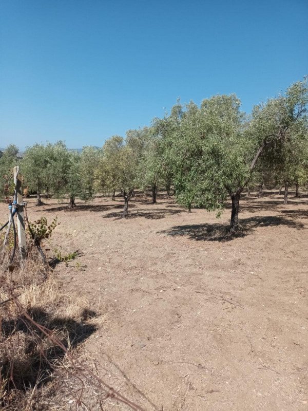 casa indipendente in vendita a Riace