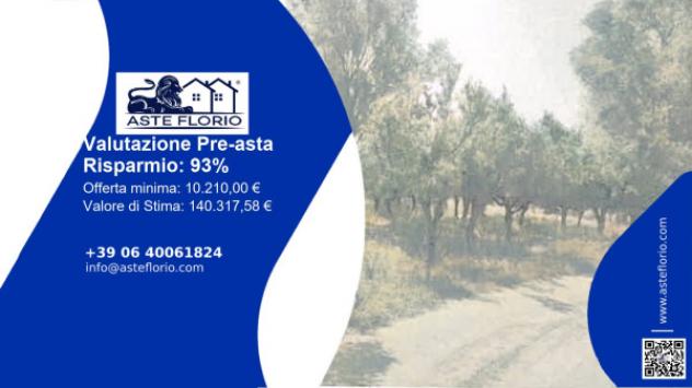 terreno agricolo in vendita a Rizziconi