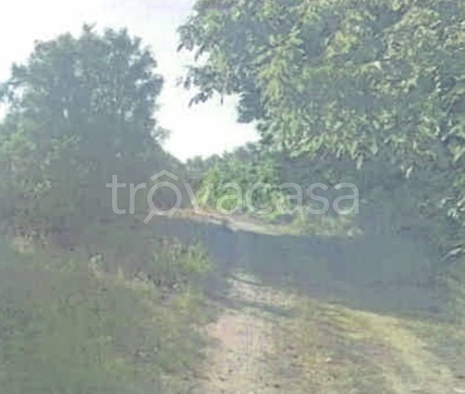 terreno agricolo in vendita a Rizziconi