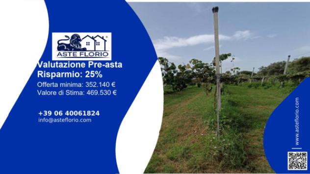 terreno agricolo in vendita a Rizziconi