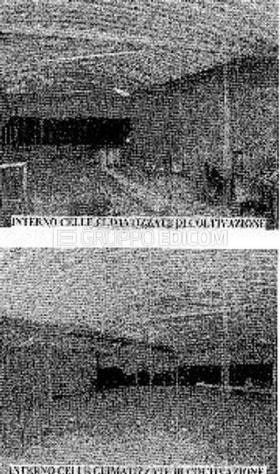 bivano in vendita a Rizziconi