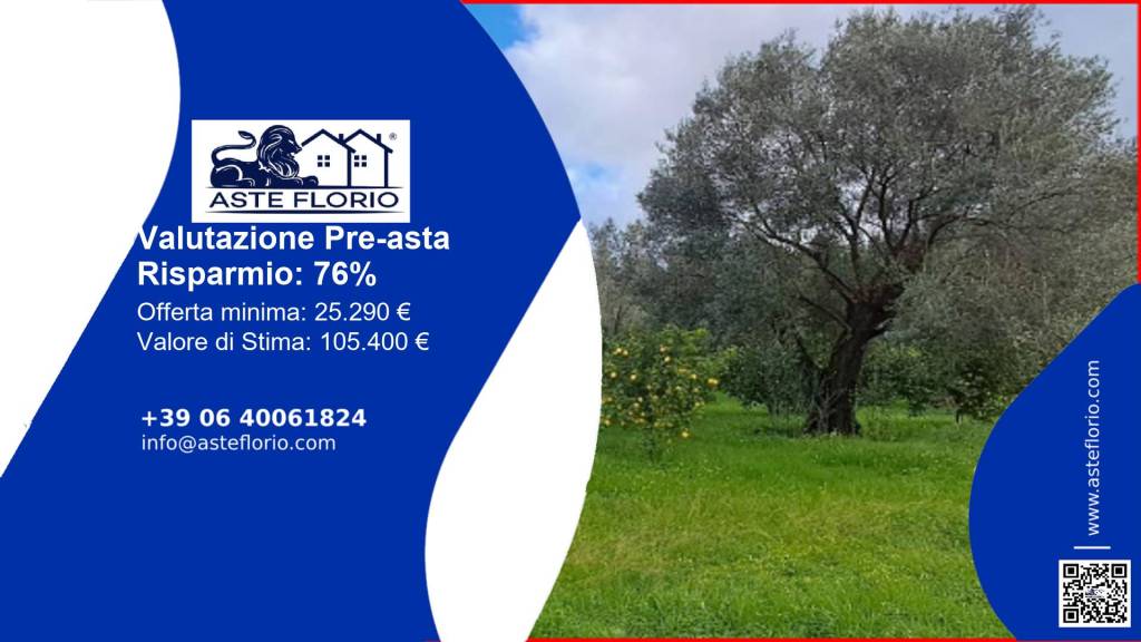 terreno agricolo in vendita a Rizziconi