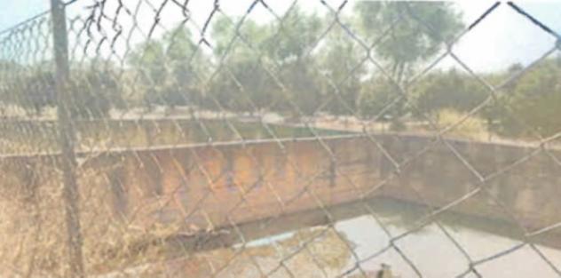 terreno agricolo in vendita a Rizziconi