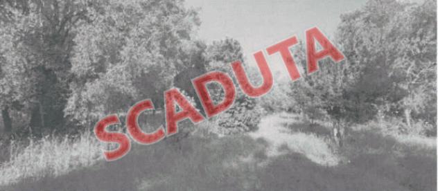 terreno edificabile in vendita a Rizziconi