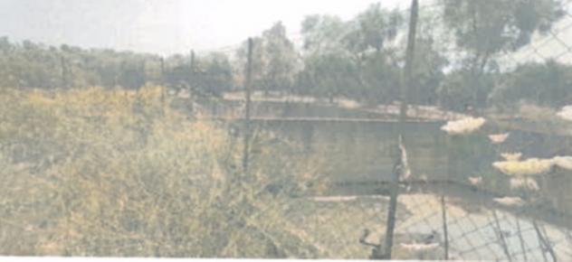 terreno agricolo in vendita a Rizziconi