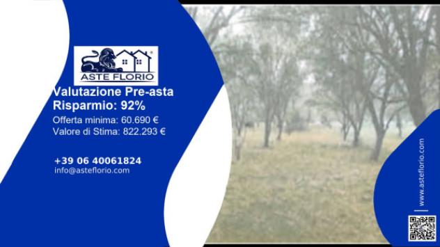 terreno agricolo in vendita a Rizziconi