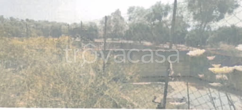 terreno agricolo in vendita a Rizziconi