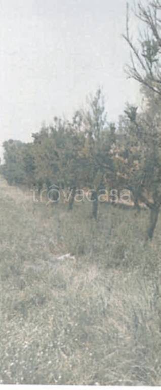 terreno edificabile in vendita a Rizziconi